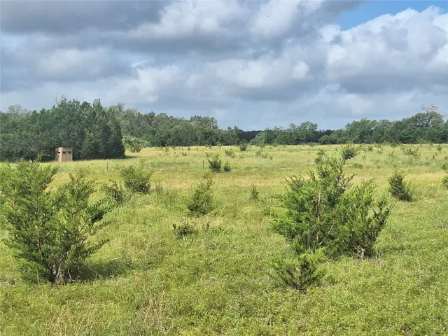 a view of lake with green space