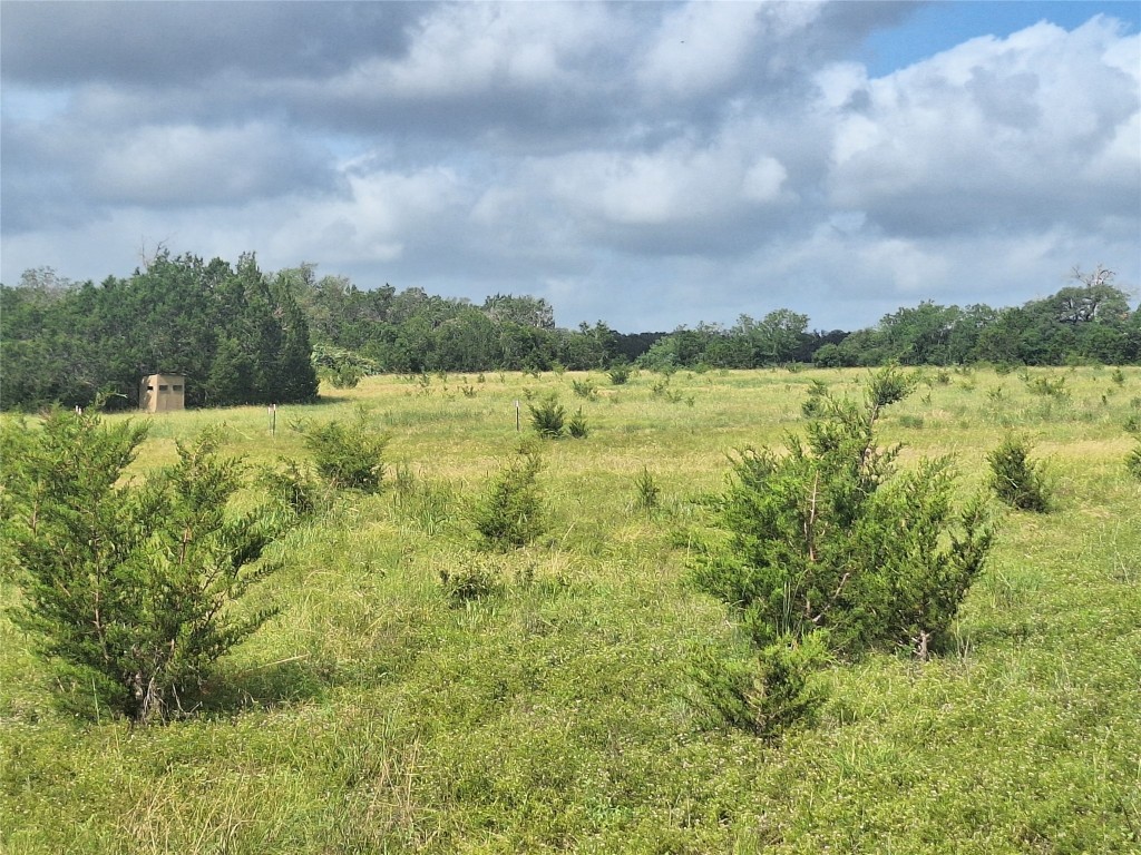 1495 County Road 281 Leander, TX 78641 - Photo 3 of 4 a view of lake with green space