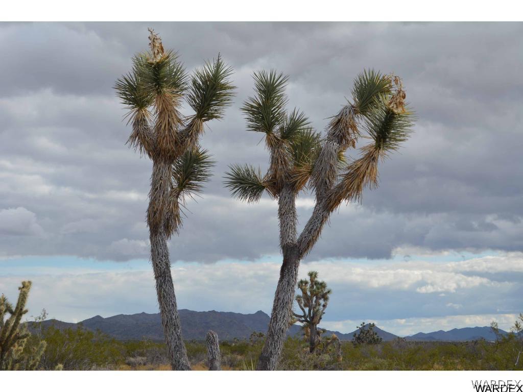 Lot 218 South Rawhide Road Yucca, AZ 86438 - Photo 1 of 31 Gallery Image 1