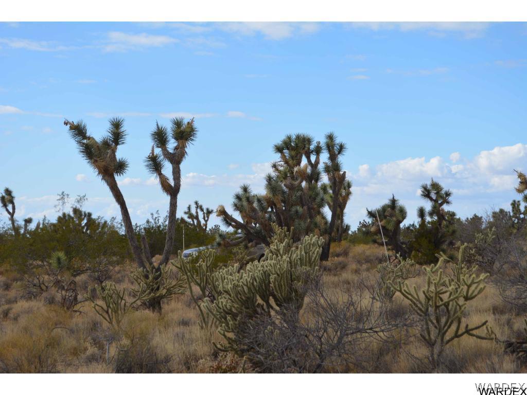 Lot 218 South Rawhide Road Yucca, AZ 86438 - Photo 13 of 31 Gallery Image 13
