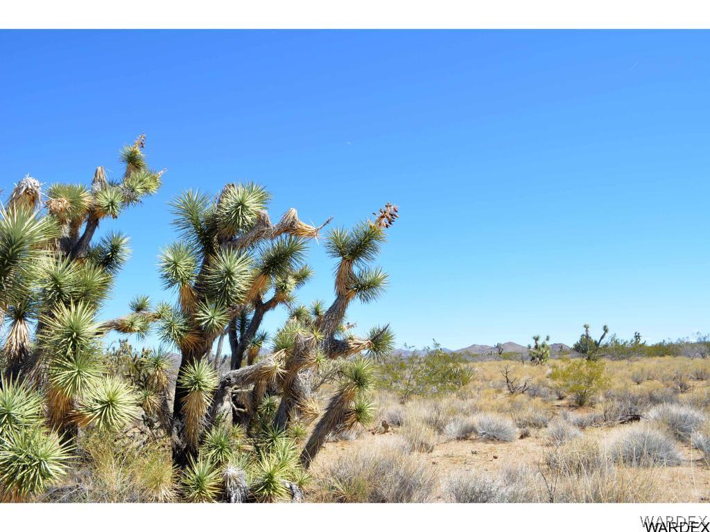 Lot 218 South Rawhide Road Yucca, AZ 86438 - Photo 15 of 31 Gallery Image 15