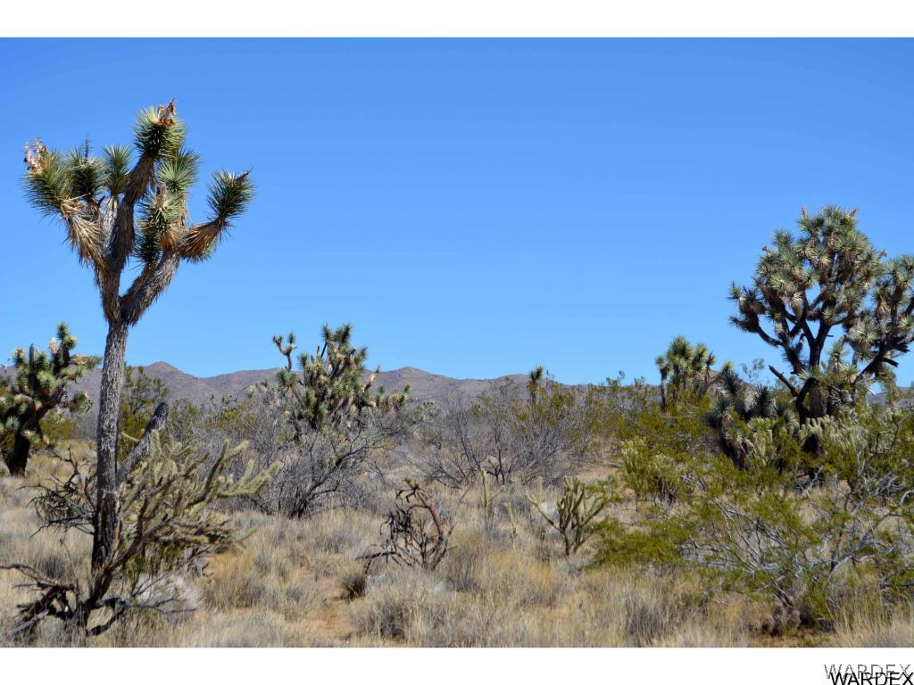 Lot 218 South Rawhide Road Yucca, AZ 86438 - Photo 16 of 31 Gallery Image 16