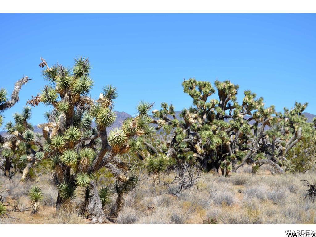 Lot 218 South Rawhide Road Yucca, AZ 86438 - Photo 18 of 31 Gallery Image 18