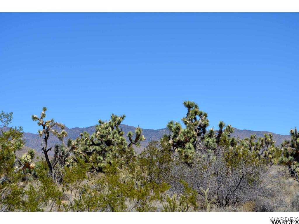 Lot 218 South Rawhide Road Yucca, AZ 86438 - Photo 19 of 31 Gallery Image 19