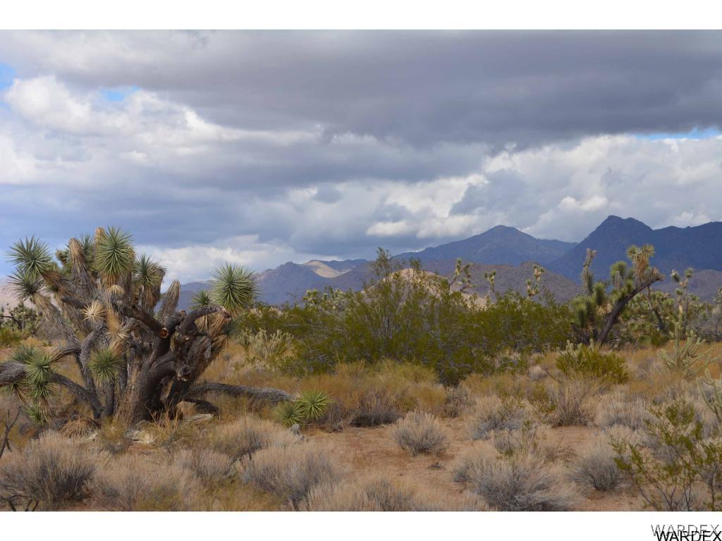 Lot 218 South Rawhide Road Yucca, AZ 86438 - Photo 2 of 31 Gallery Image 2
