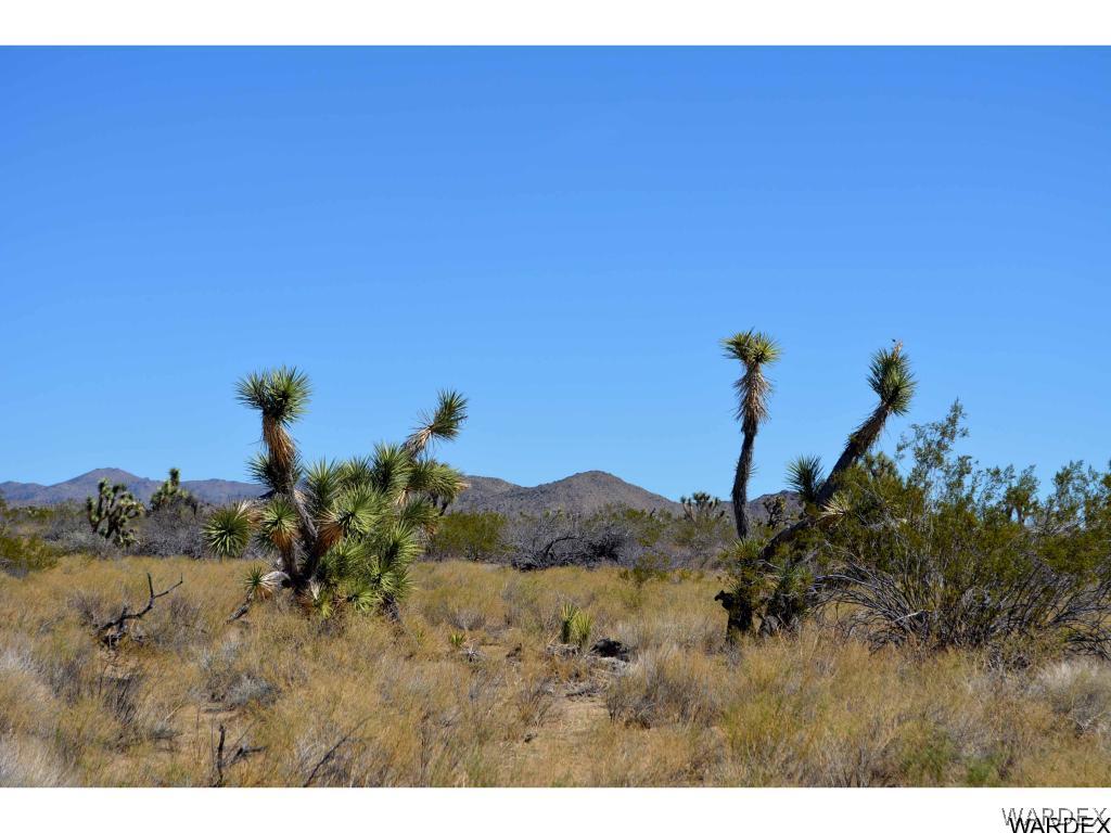 Lot 218 South Rawhide Road Yucca, AZ 86438 - Photo 22 of 31 Gallery Image 22