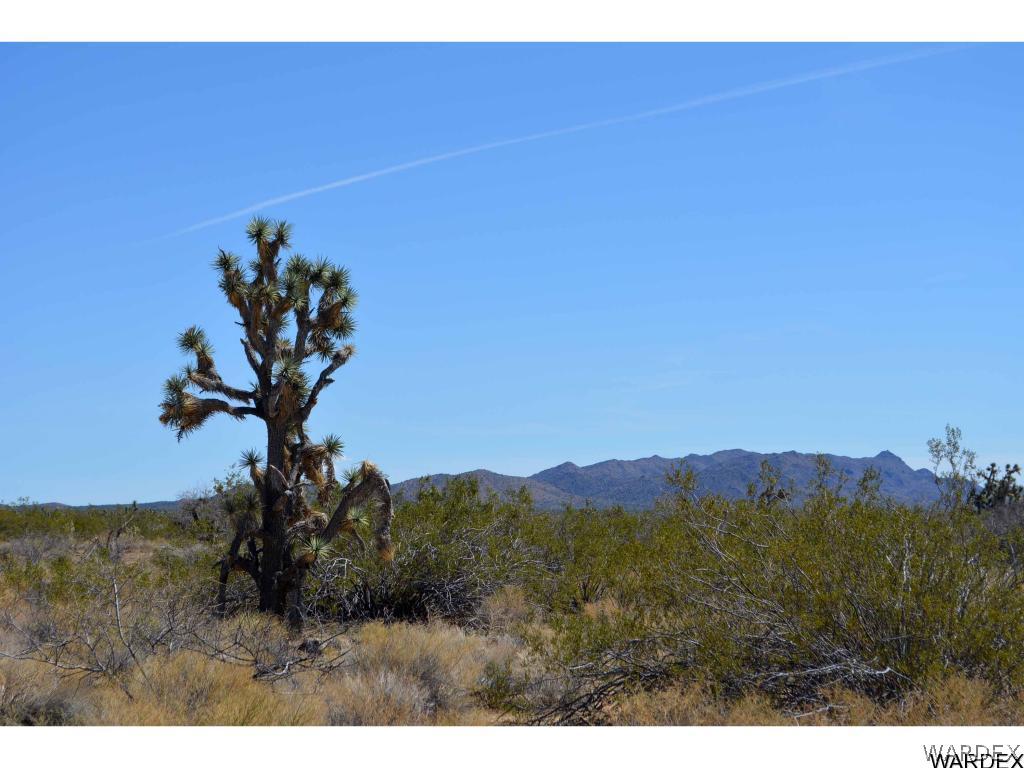 Lot 218 South Rawhide Road Yucca, AZ 86438 - Photo 23 of 31 Gallery Image 23