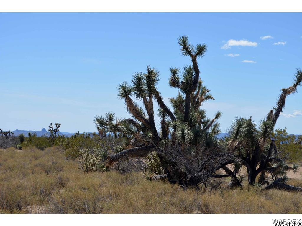 Lot 218 South Rawhide Road Yucca, AZ 86438 - Photo 24 of 31 Gallery Image 24