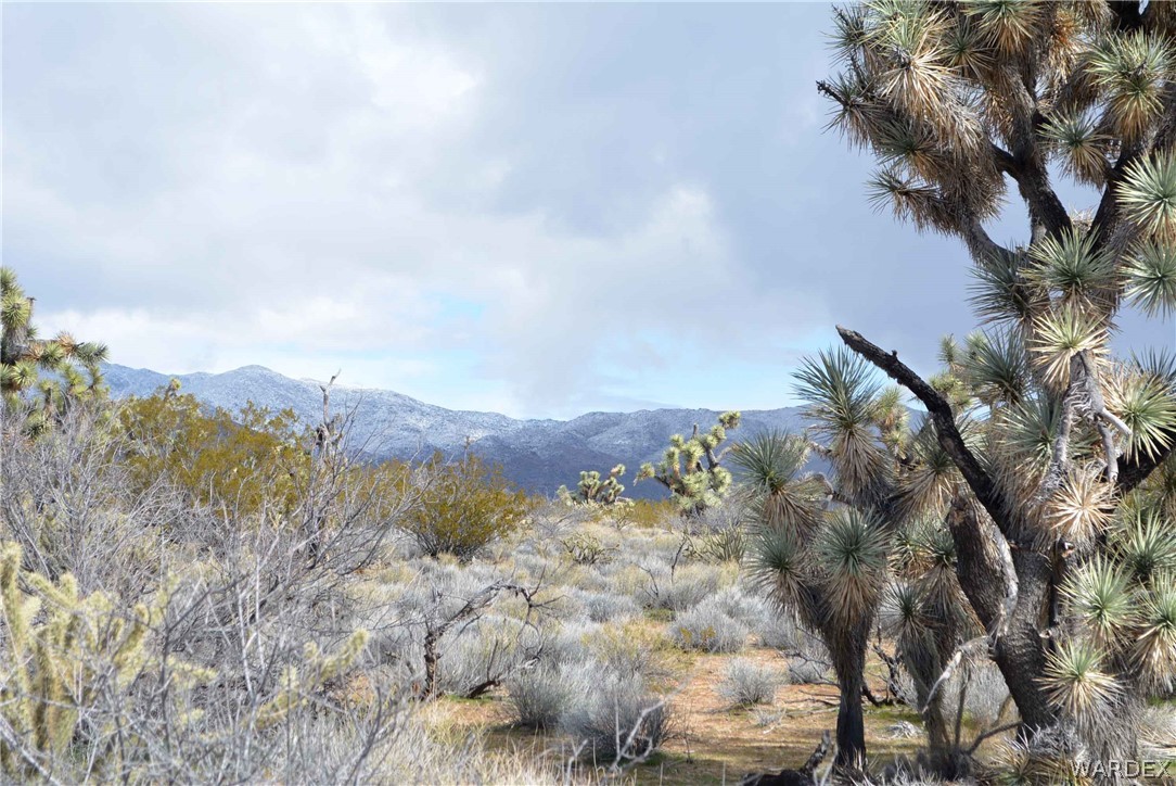 Lot 218 South Rawhide Road Yucca, AZ 86438 - Photo 27 of 31 Gallery Image 27