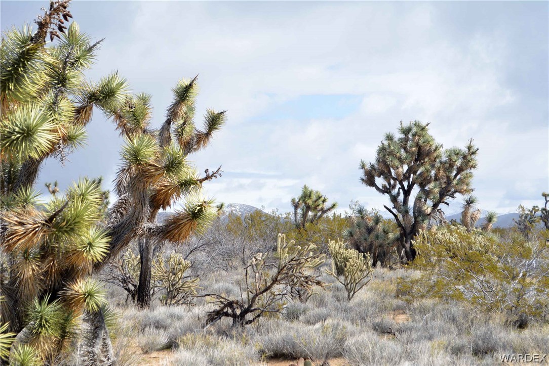 Lot 218 South Rawhide Road Yucca, AZ 86438 - Photo 28 of 31 Gallery Image 28