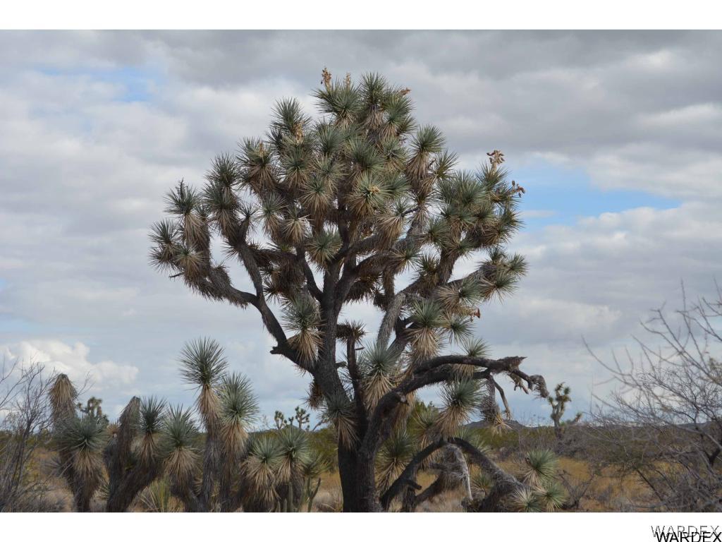 Lot 218 South Rawhide Road Yucca, AZ 86438 - Photo 3 of 31 Gallery Image 3