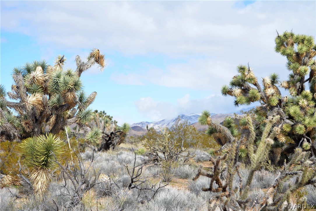 Lot 218 South Rawhide Road Yucca, AZ 86438 - Photo 31 of 31 Gallery Image 31