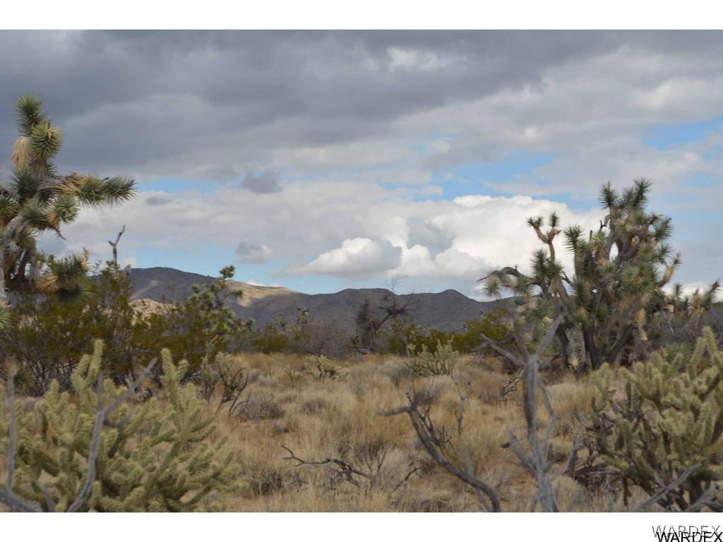 Lot 218 South Rawhide Road Yucca, AZ 86438 - Photo 4 of 31 Gallery Image 4