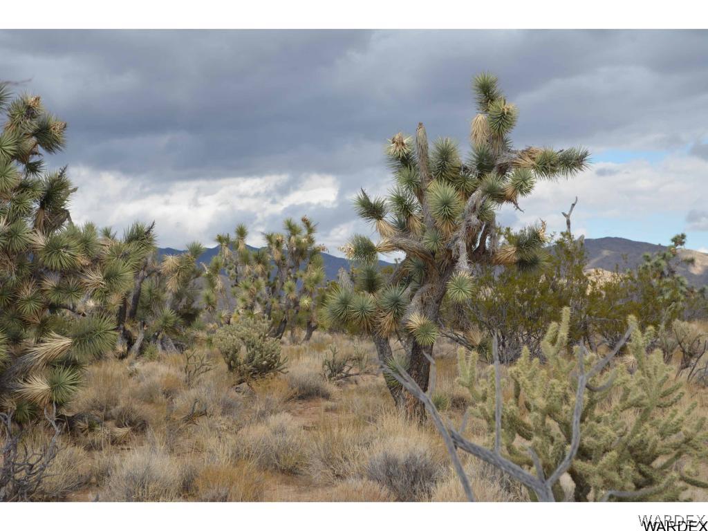Lot 218 South Rawhide Road Yucca, AZ 86438 - Photo 5 of 31 Gallery Image 5