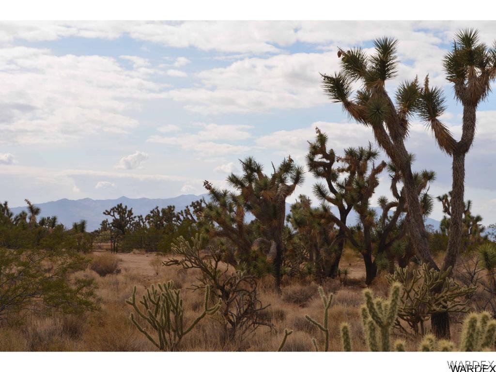 Lot 218 South Rawhide Road Yucca, AZ 86438 - Photo 6 of 31 Gallery Image 6