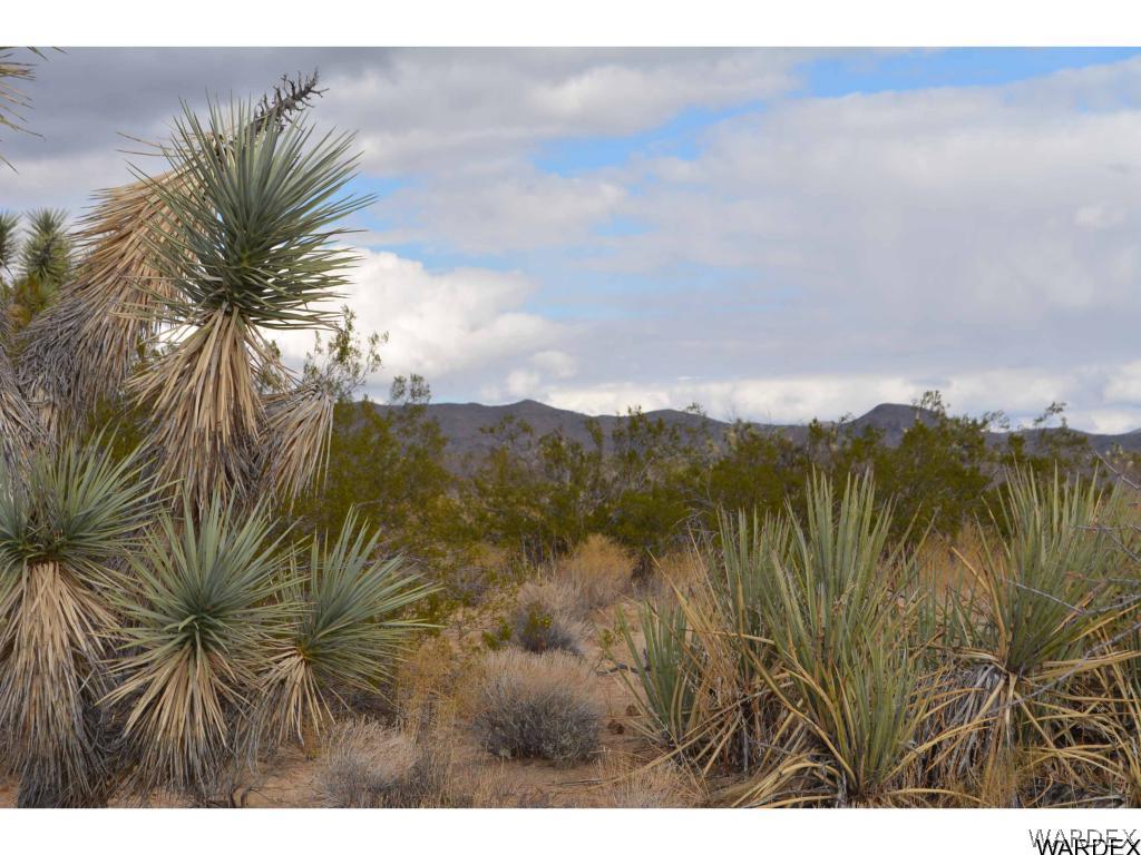 Lot 218 South Rawhide Road Yucca, AZ 86438 - Photo 8 of 31 Gallery Image 8