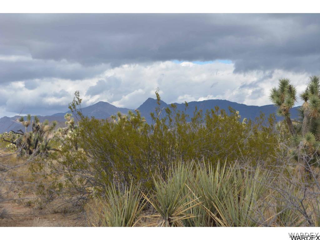 Lot 218 South Rawhide Road Yucca, AZ 86438 - Photo 9 of 31 Gallery Image 9