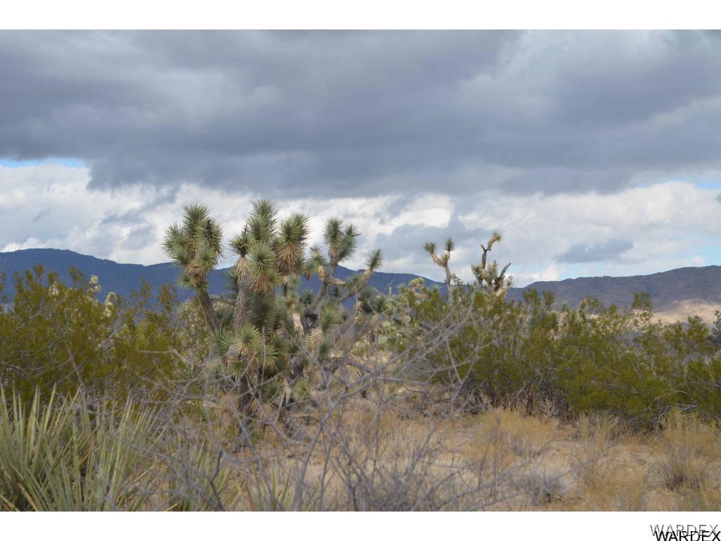 Lot 218 South Rawhide Road Yucca, AZ 86438 - Photo 10 of 31 Gallery Image 10