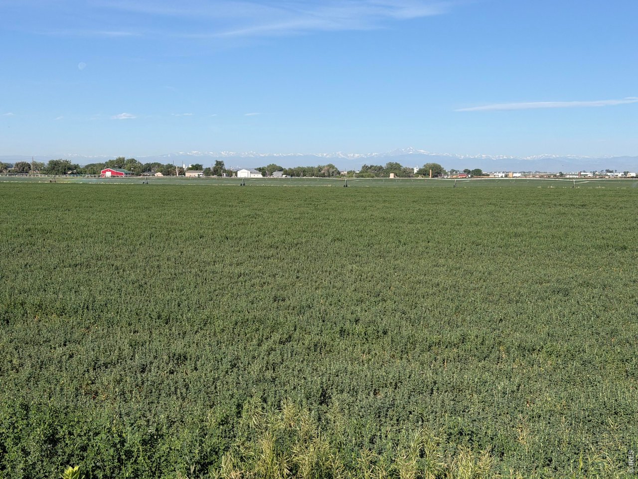 70 County Road Eaton, CO 80615 - Photo 5 of 17