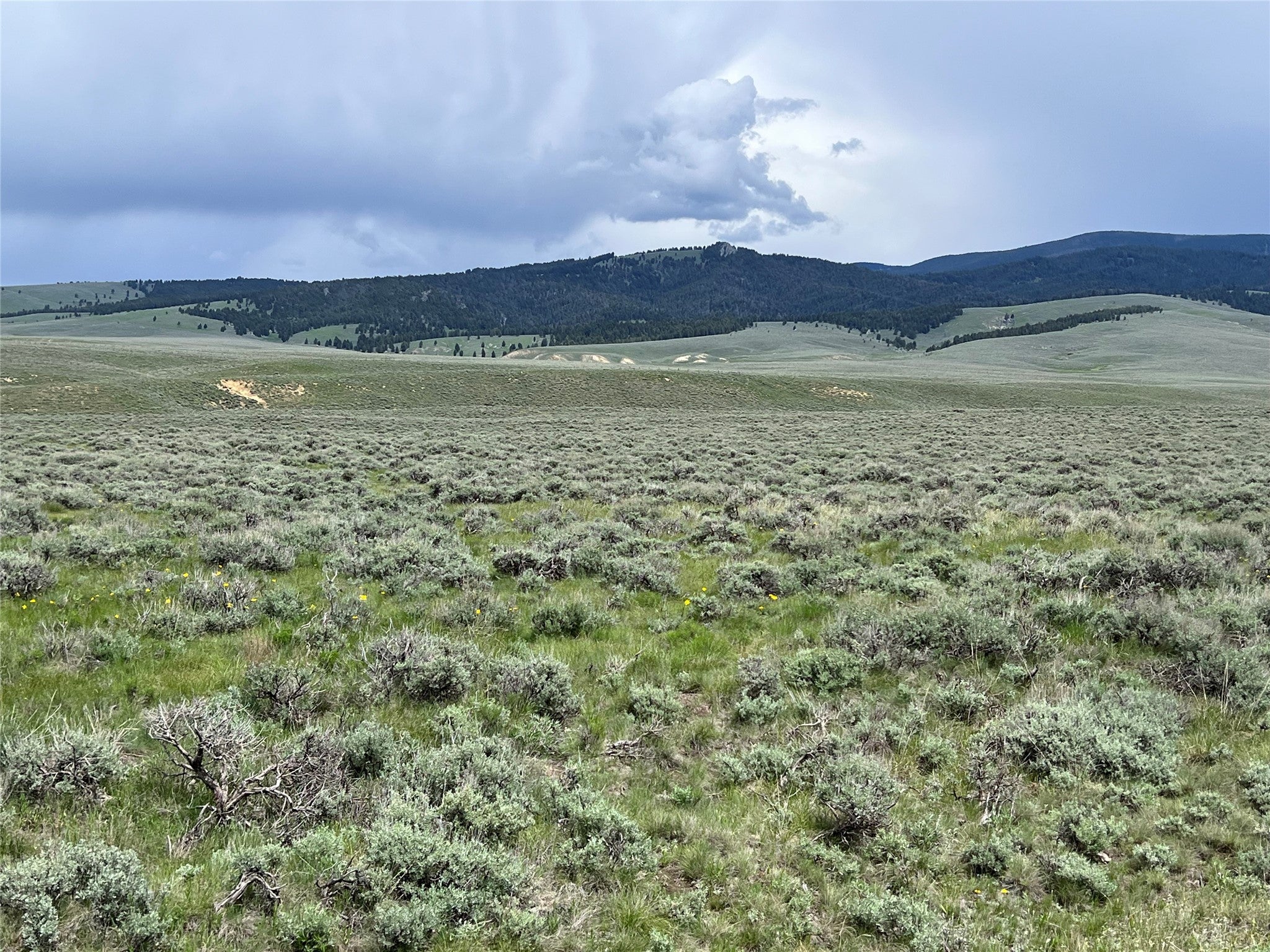 10 Steel Creek Road Wisdom, MT 59761 - Photo 3 of 8 Gallery Image 3