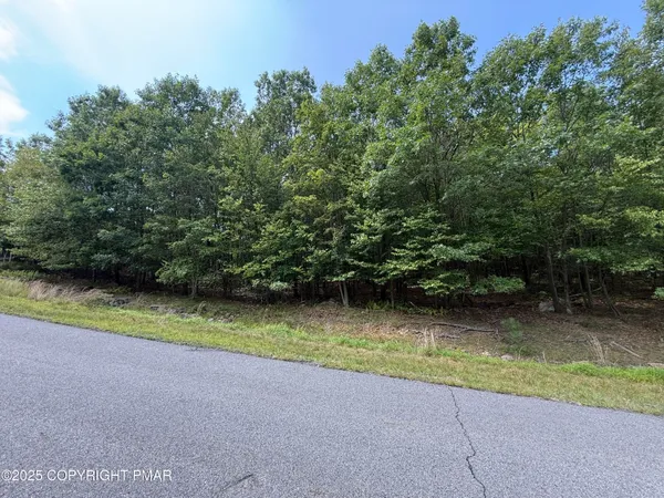 $995 | Lot 194 Buck Mountain Boulevard, Hazleton, PA 18202