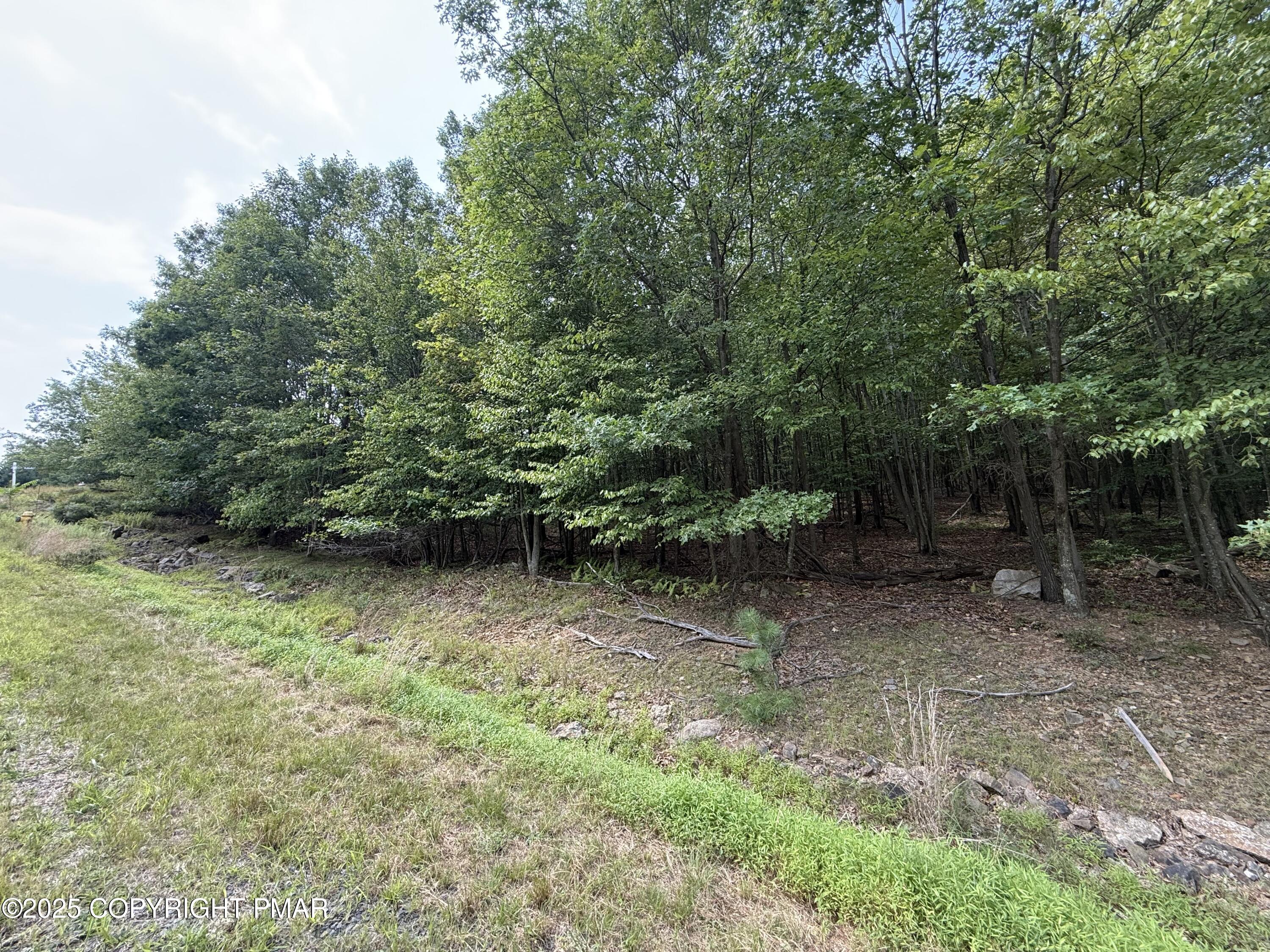 Lot 194 Buck Mountain Boulevard Hazleton, PA 18202 - Photo 4 of 23 IMG_6558