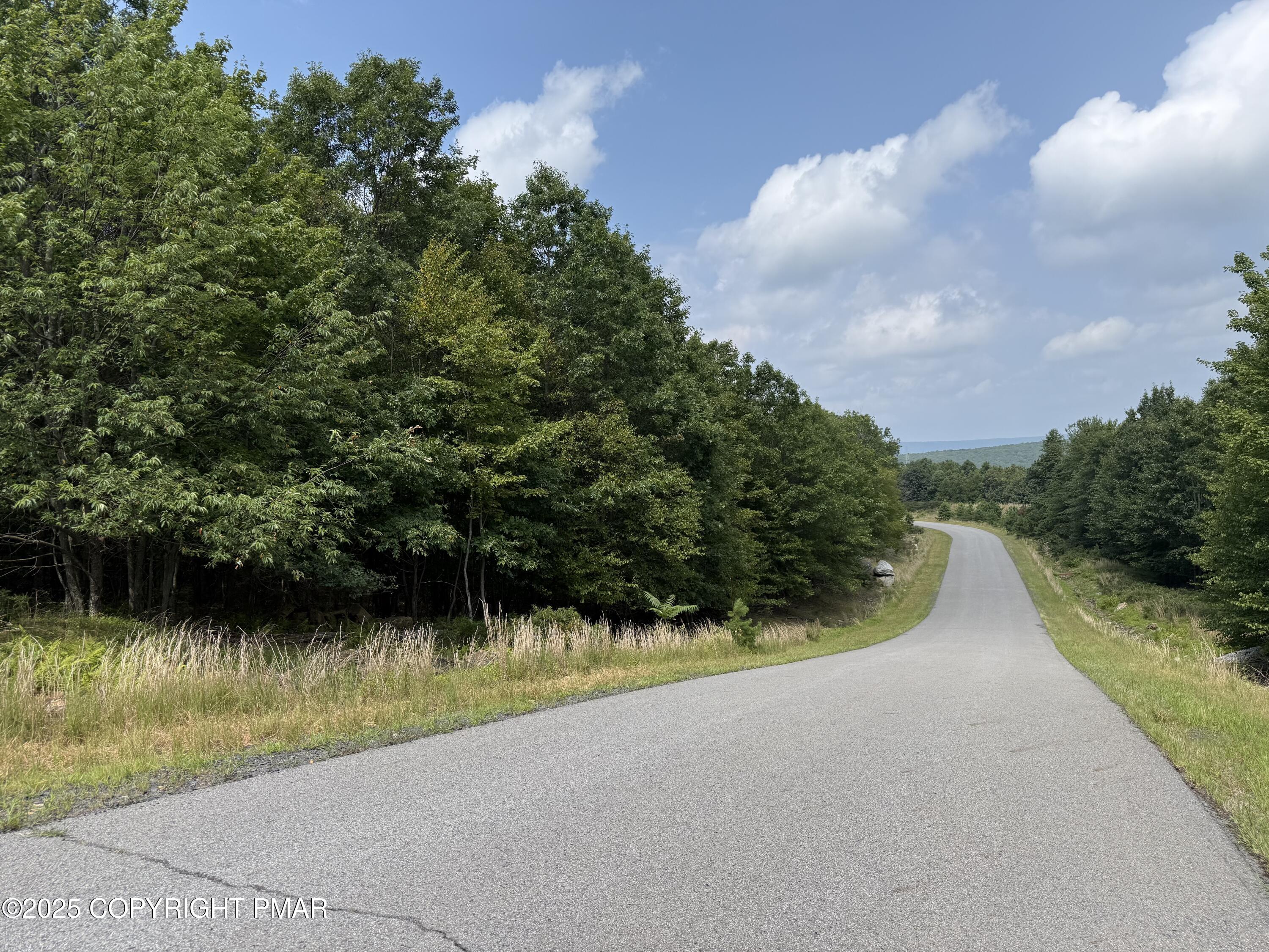 Lot 194 Buck Mountain Boulevard Hazleton, PA 18202 - Photo 5 of 23 IMG_6556