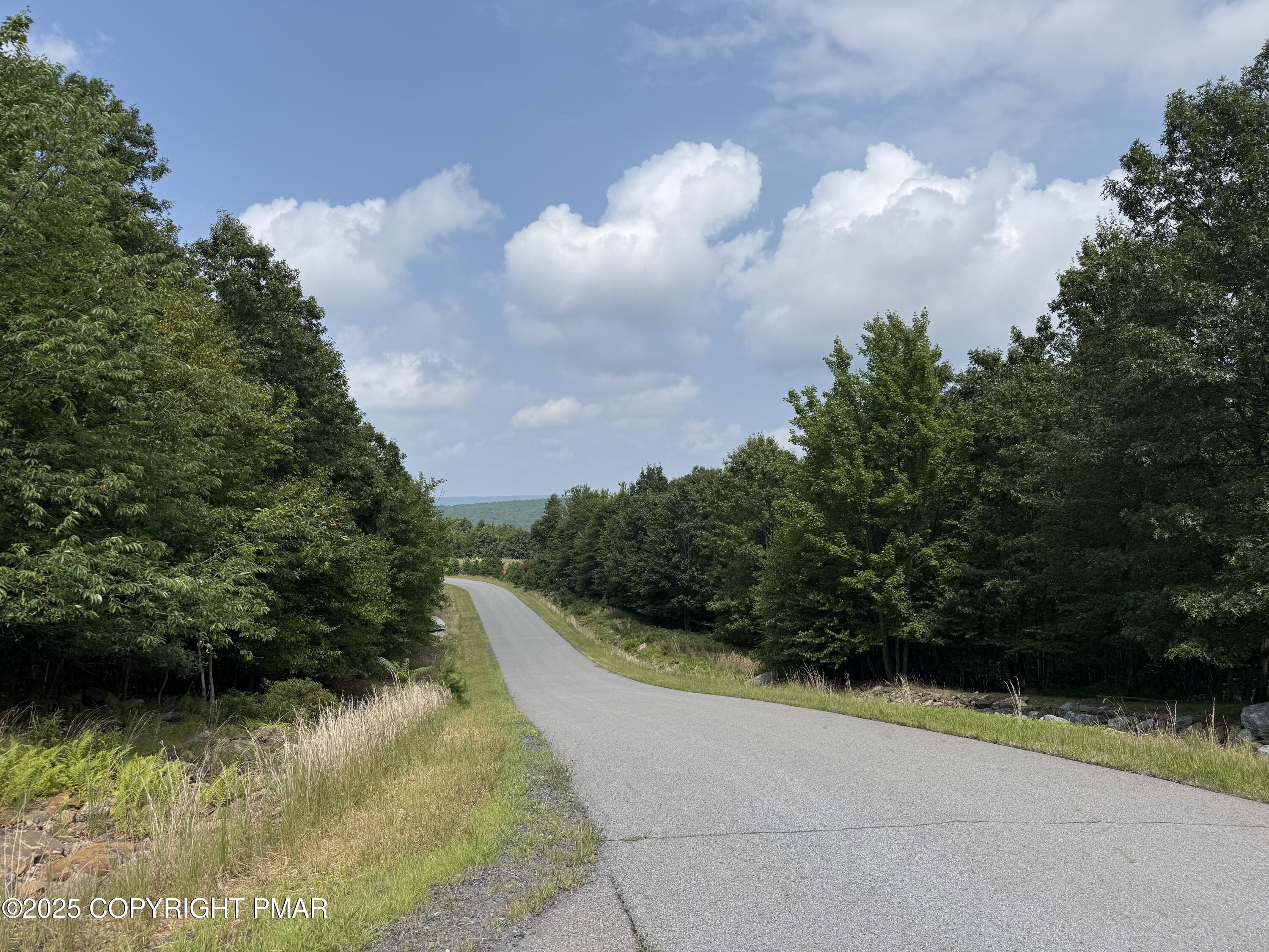 Lot 194 Buck Mountain Boulevard Hazleton, PA 18202 - Photo 6 of 23 IMG_6555