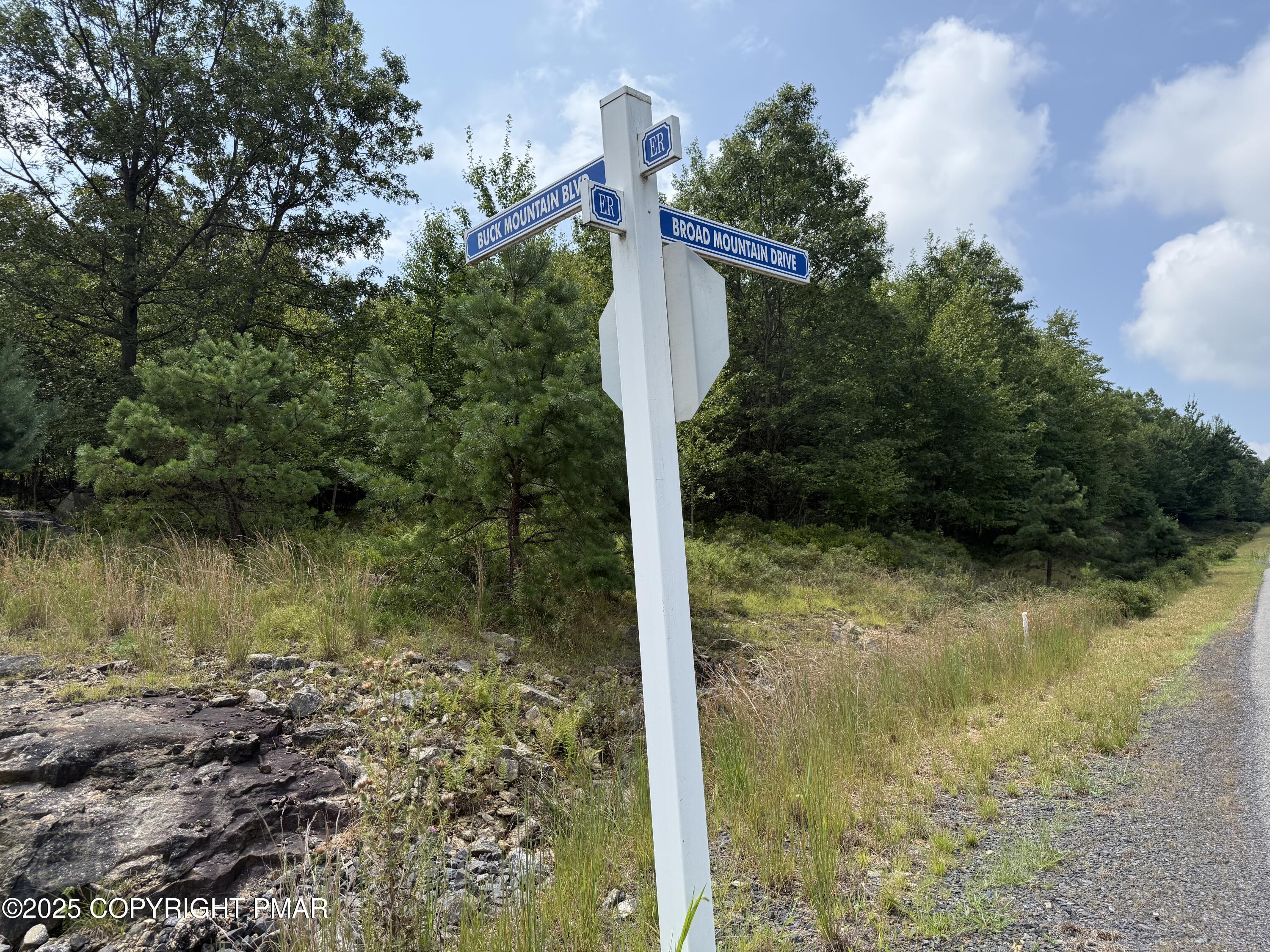 Lot 194 Buck Mountain Boulevard Hazleton, PA 18202 - Photo 7 of 23 IMG_6554