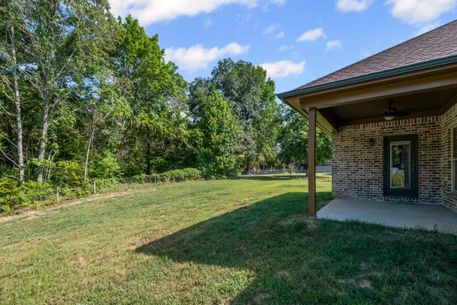 a view of a backyard with a small cabin