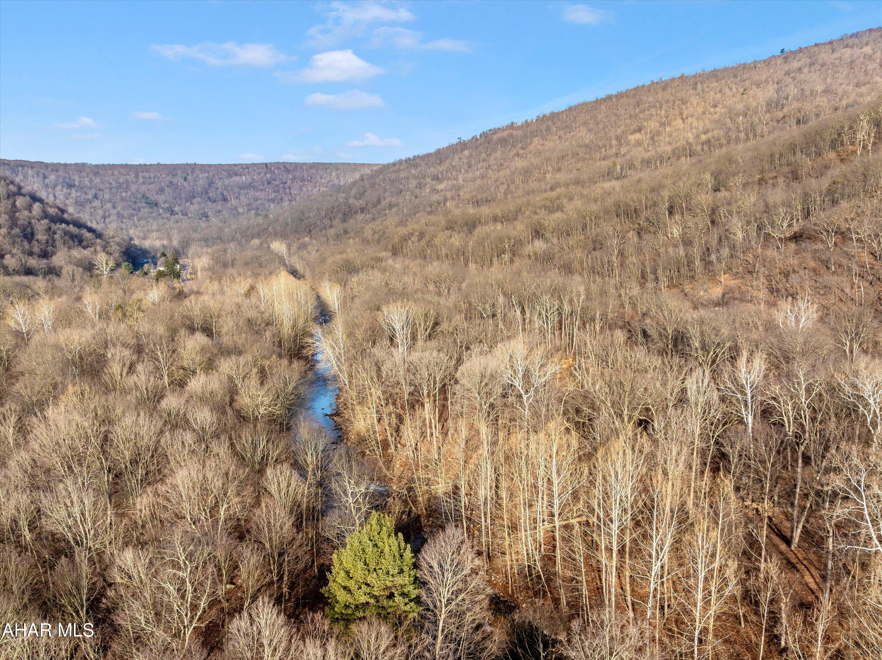 0 Gooseberry Road Hyndman, PA 15545 - Photo 21 of 26