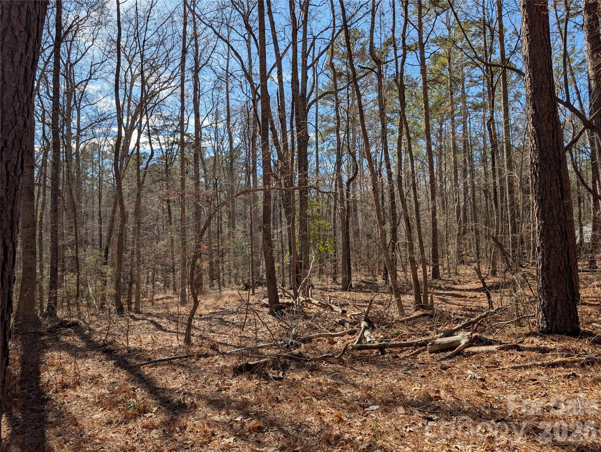 489-491 Mimosa Road, Unit 3 & 9 Rock Hill, SC 29730 - Photo 2 of 10