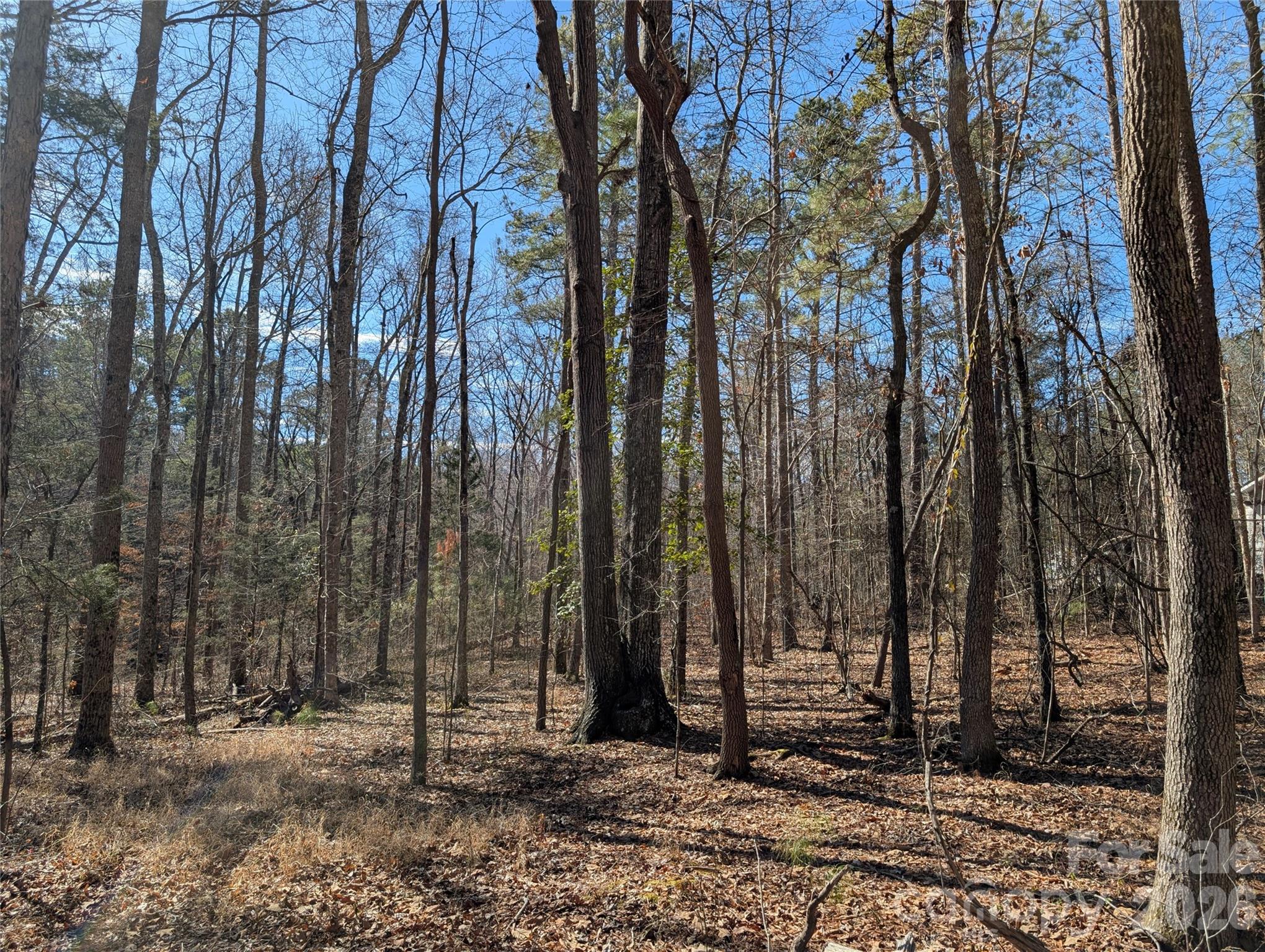 489-491 Mimosa Road, Unit 3 & 9 Rock Hill, SC 29730 - Photo 3 of 10