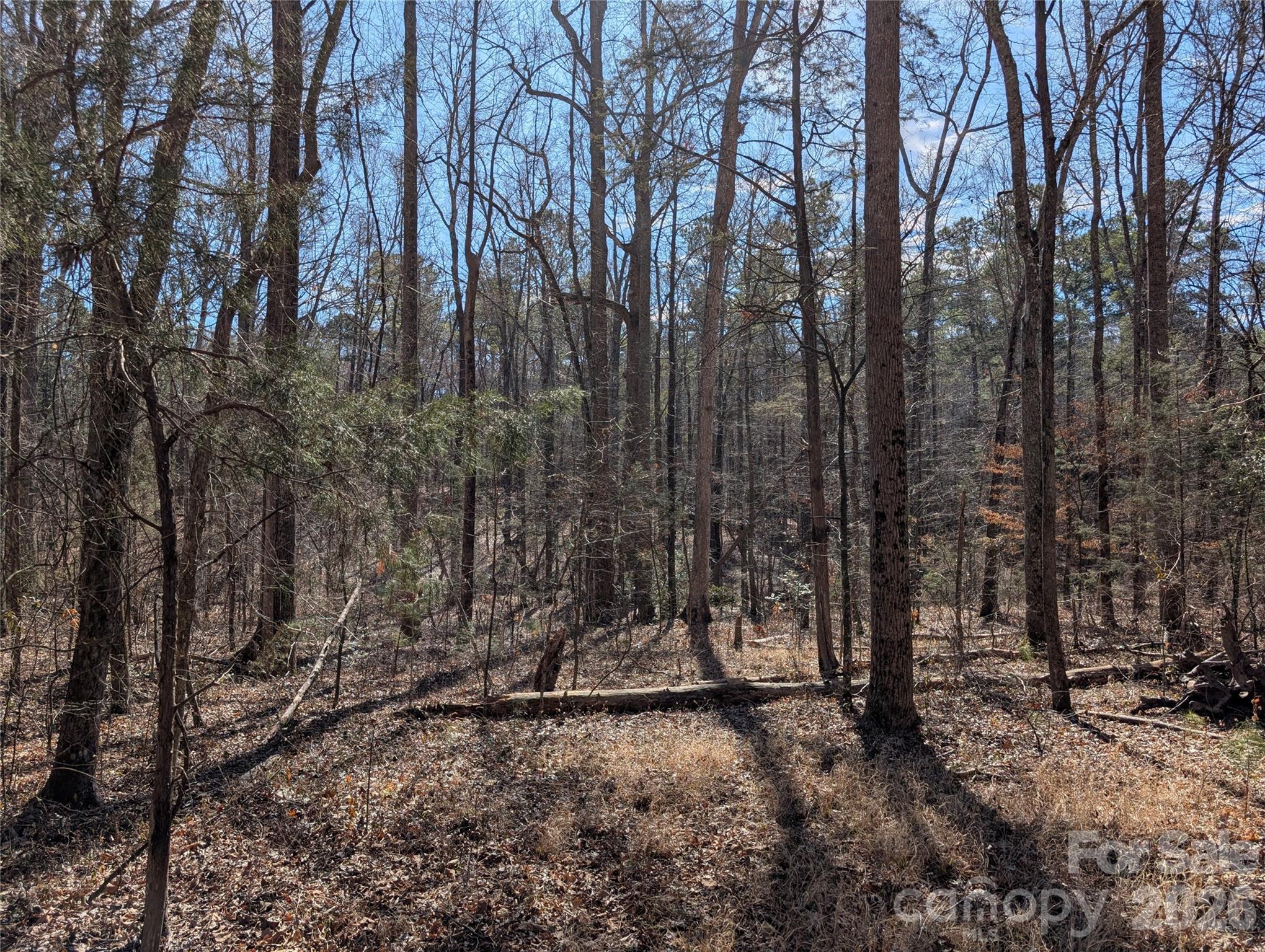 489-491 Mimosa Road, Unit 3 & 9 Rock Hill, SC 29730 - Photo 4 of 10