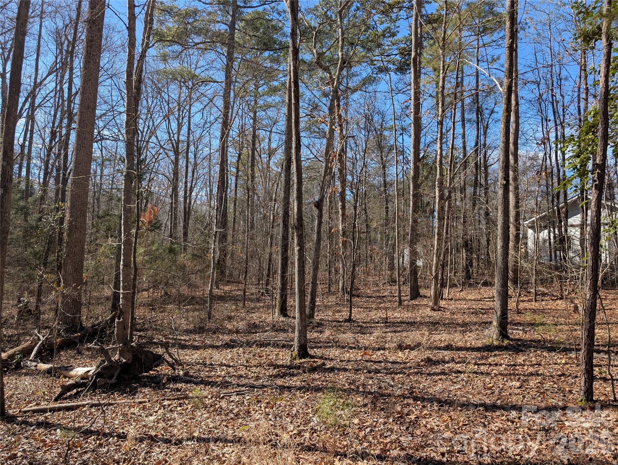 489-491 Mimosa Road, Unit 3 & 9 Rock Hill, SC 29730 - Photo 5 of 10