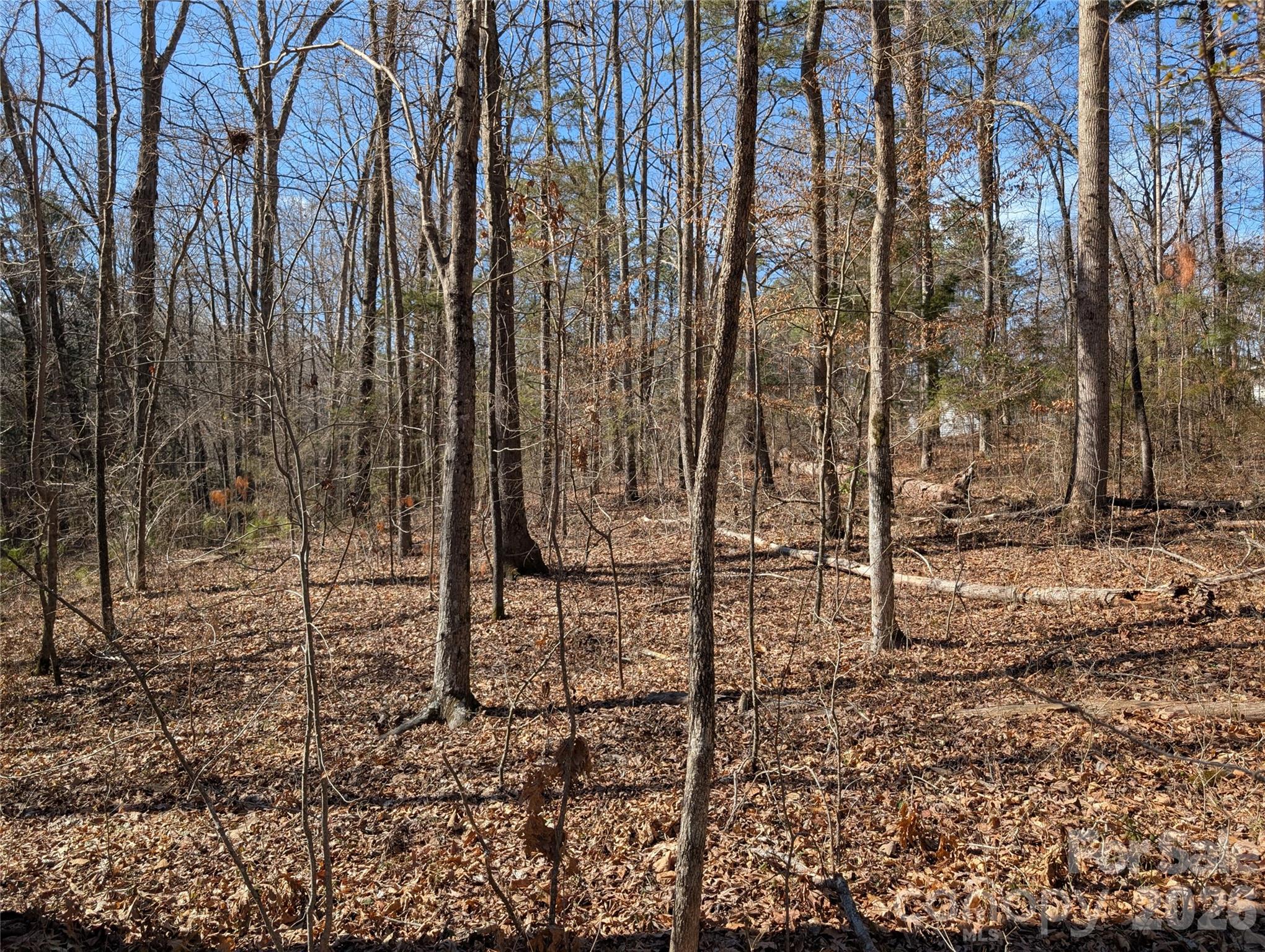 489-491 Mimosa Road, Unit 3 & 9 Rock Hill, SC 29730 - Photo 7 of 10