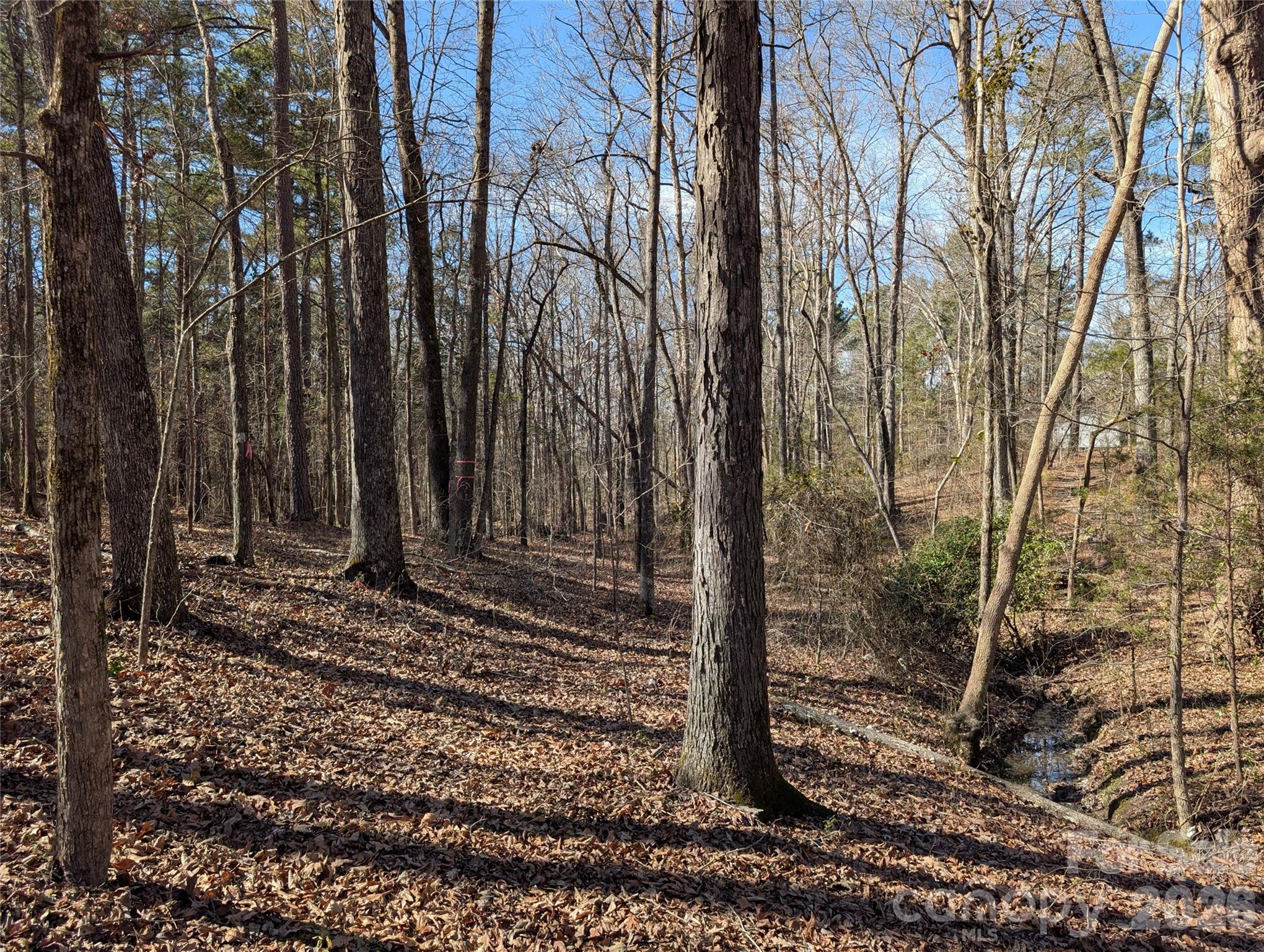 489-491 Mimosa Road, Unit 3 & 9 Rock Hill, SC 29730 - Photo 9 of 10