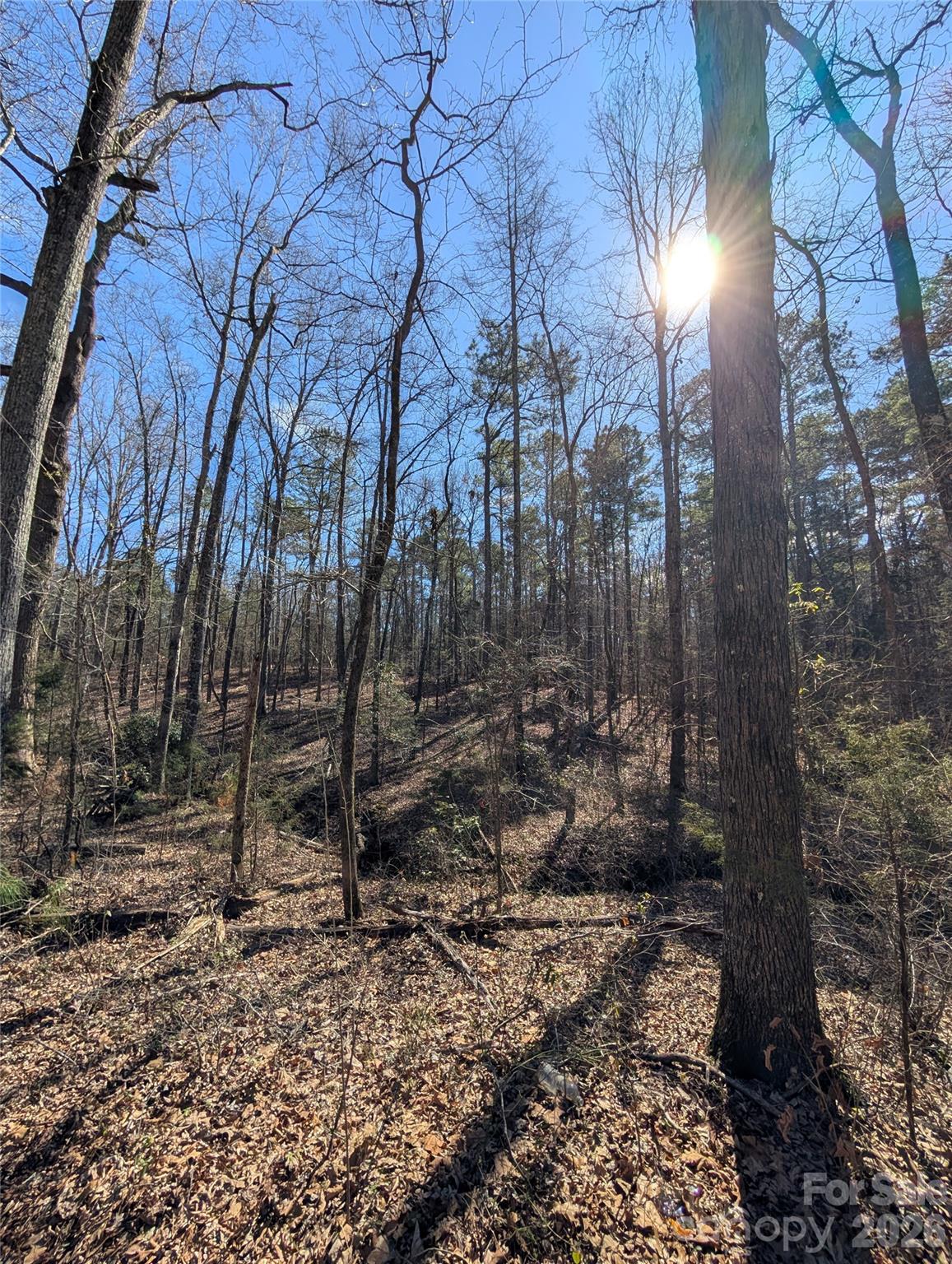 489-491 Mimosa Road, Unit 3 & 9 Rock Hill, SC 29730 - Photo 10 of 10