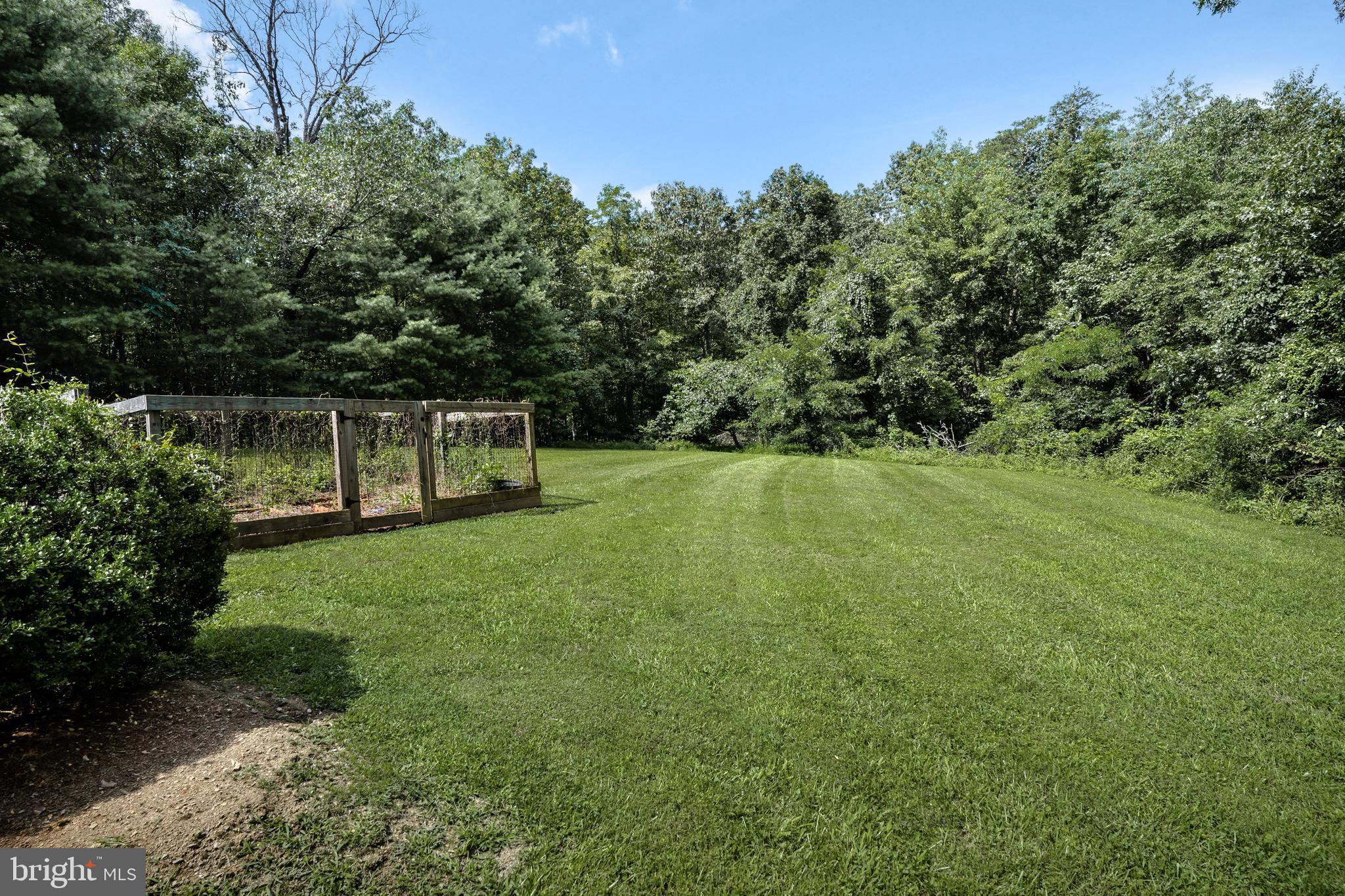 377 Figgins Road Front Royal, VA 22630 - Photo 23 of 29 Sellers had a garden in fenced area. Large yard.