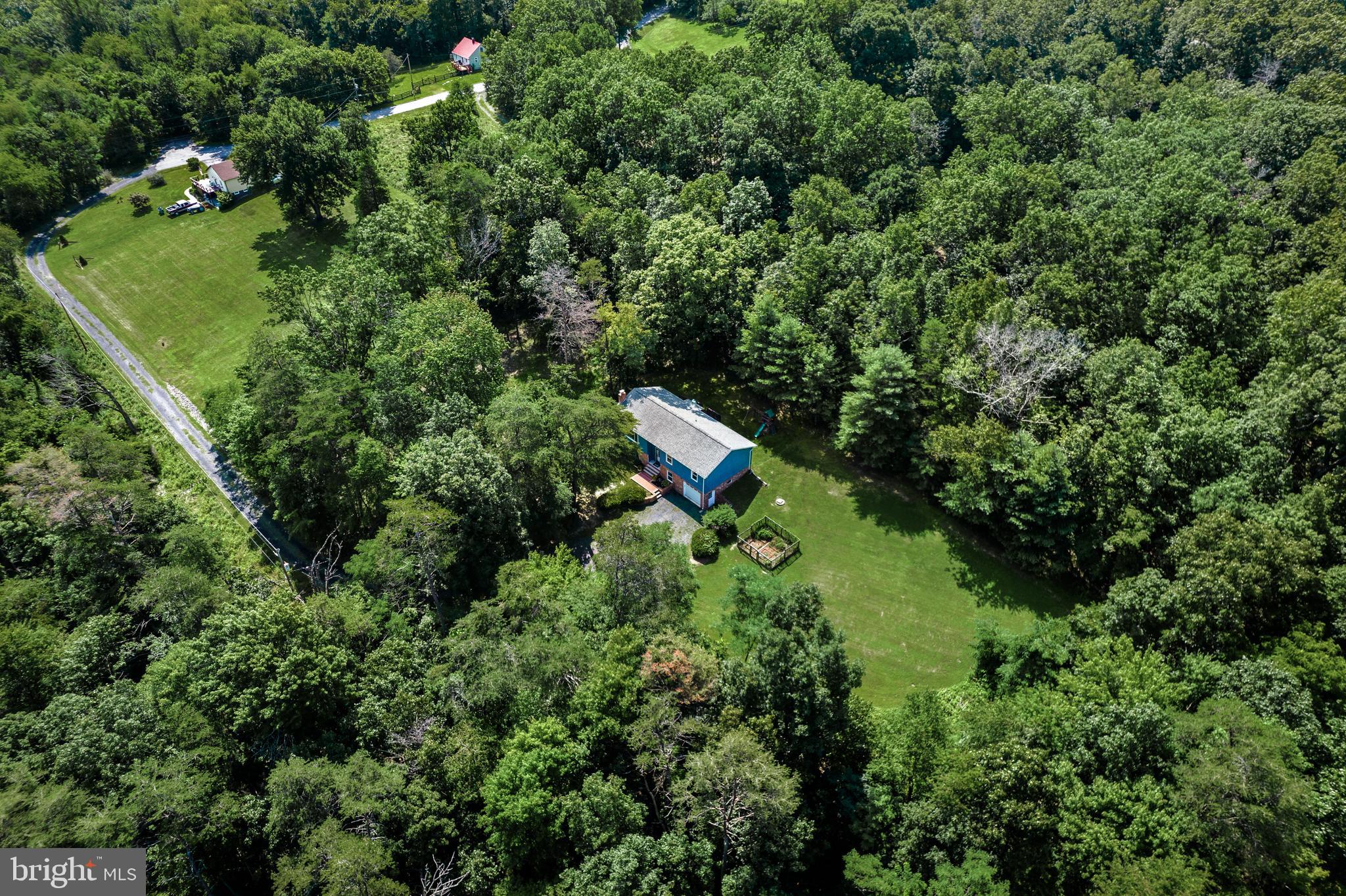 377 Figgins Road Front Royal, VA 22630 - Photo 24 of 29 Trees all around the perimeter of property