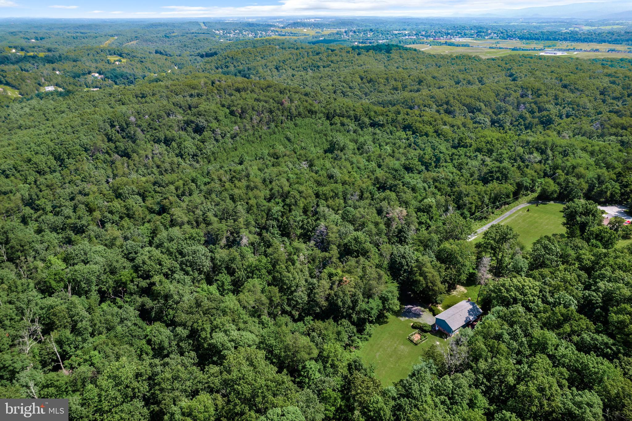 377 Figgins Road Front Royal, VA 22630 - Photo 25 of 29 Aerial view of the property and surrounding area