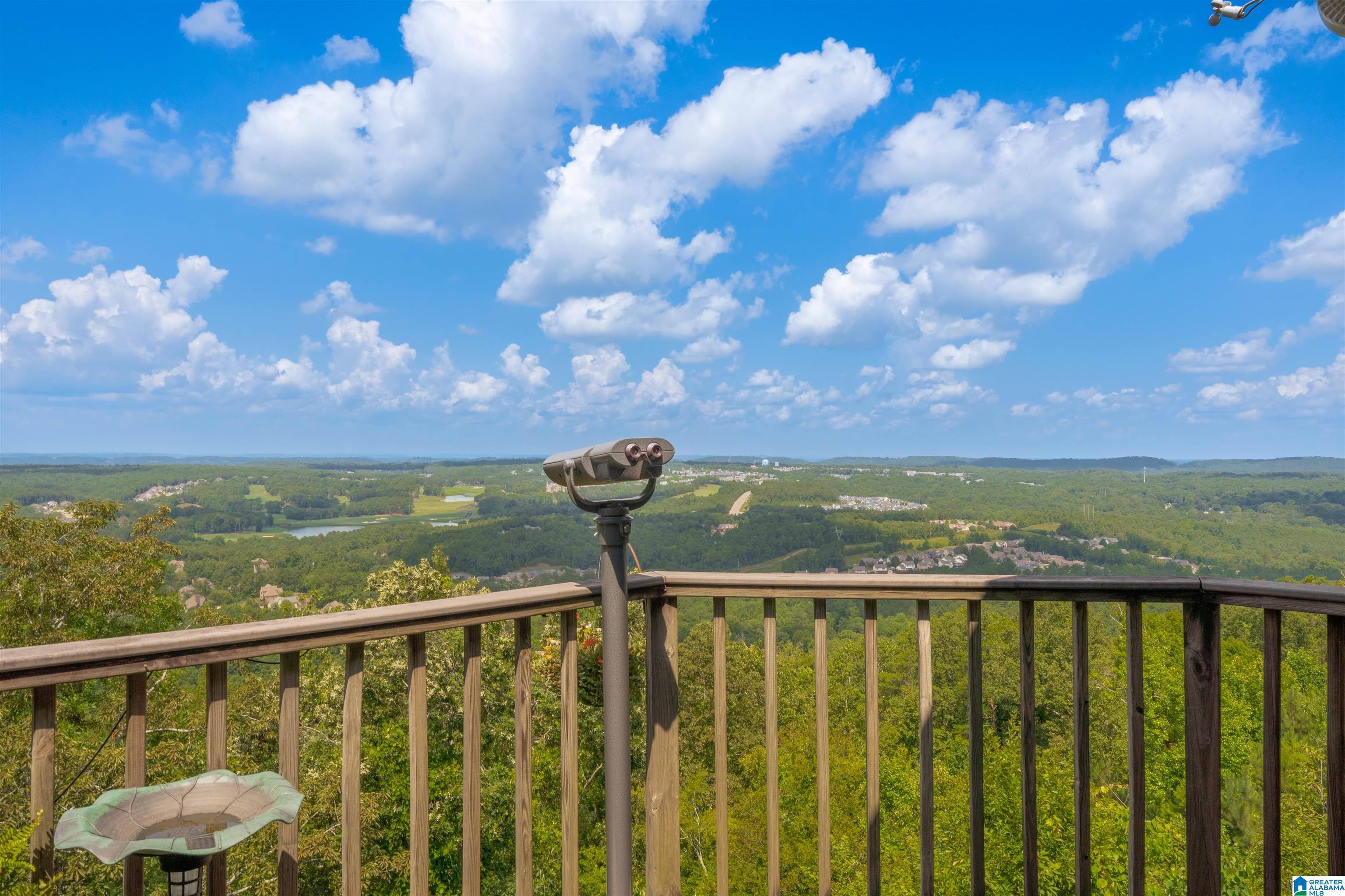 314 Shades Crest Road Birmingham, AL 35226 - Photo 2 of 48 Gallery Image 2
