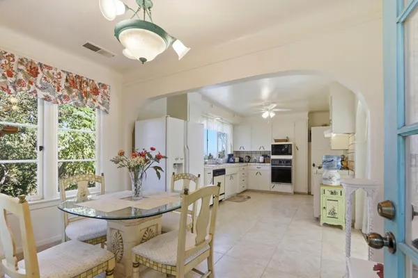 a view of a garden with a tree