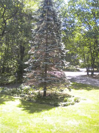 17 Pine Ridge Road Stow, MA 01775 - Photo 25 of 30 Gallery Image 25