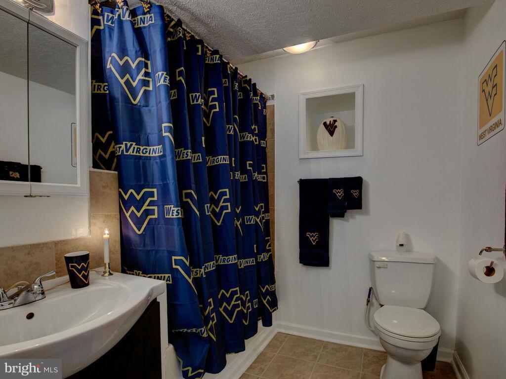 128 Asbury Road Winchester, VA 22602 - Photo 21 of 29 Bath in basement