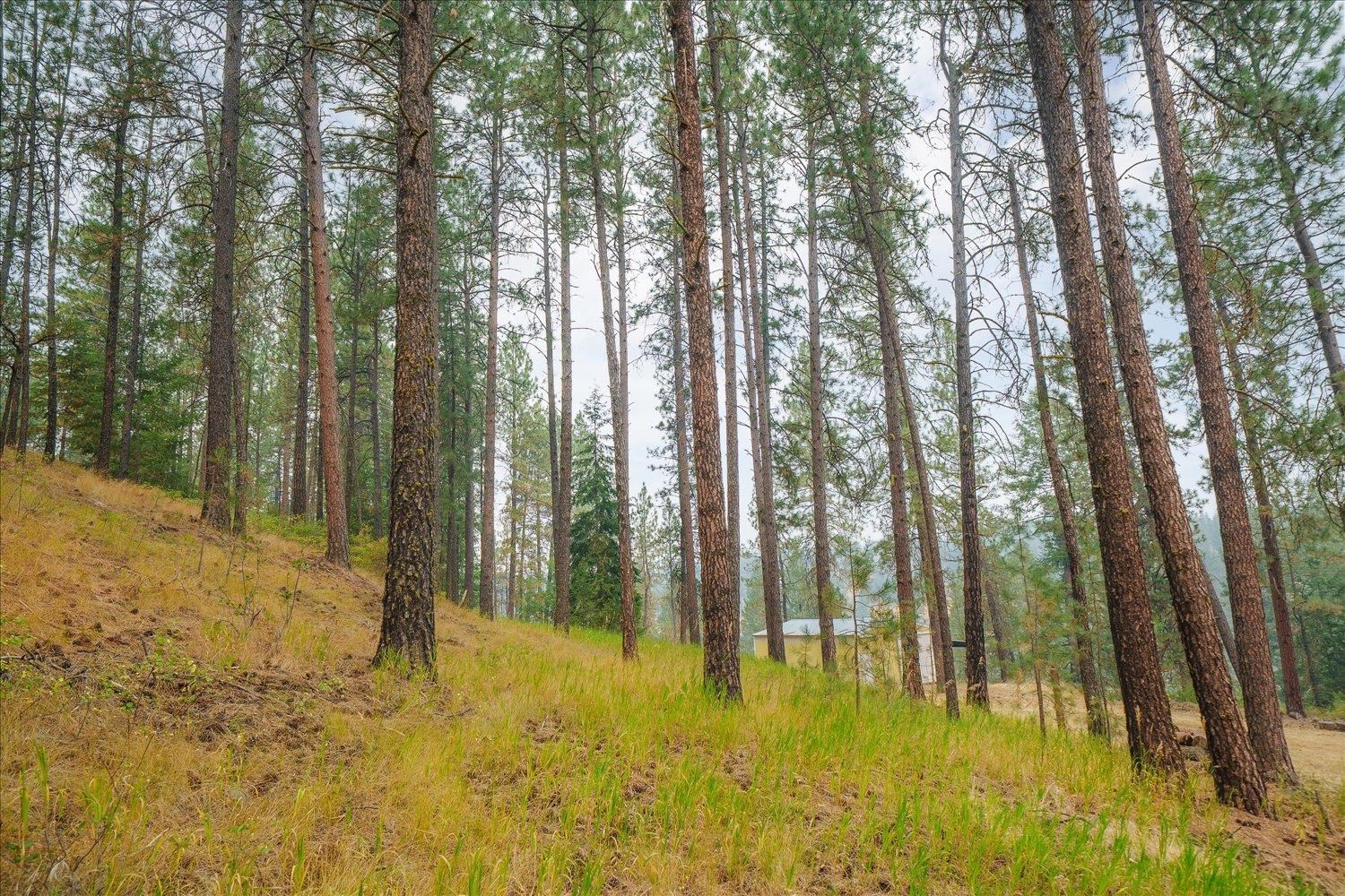 2505 North Christensen Road Medical Lake, WA 99022 - Photo 42 of 50 Gallery Image 42