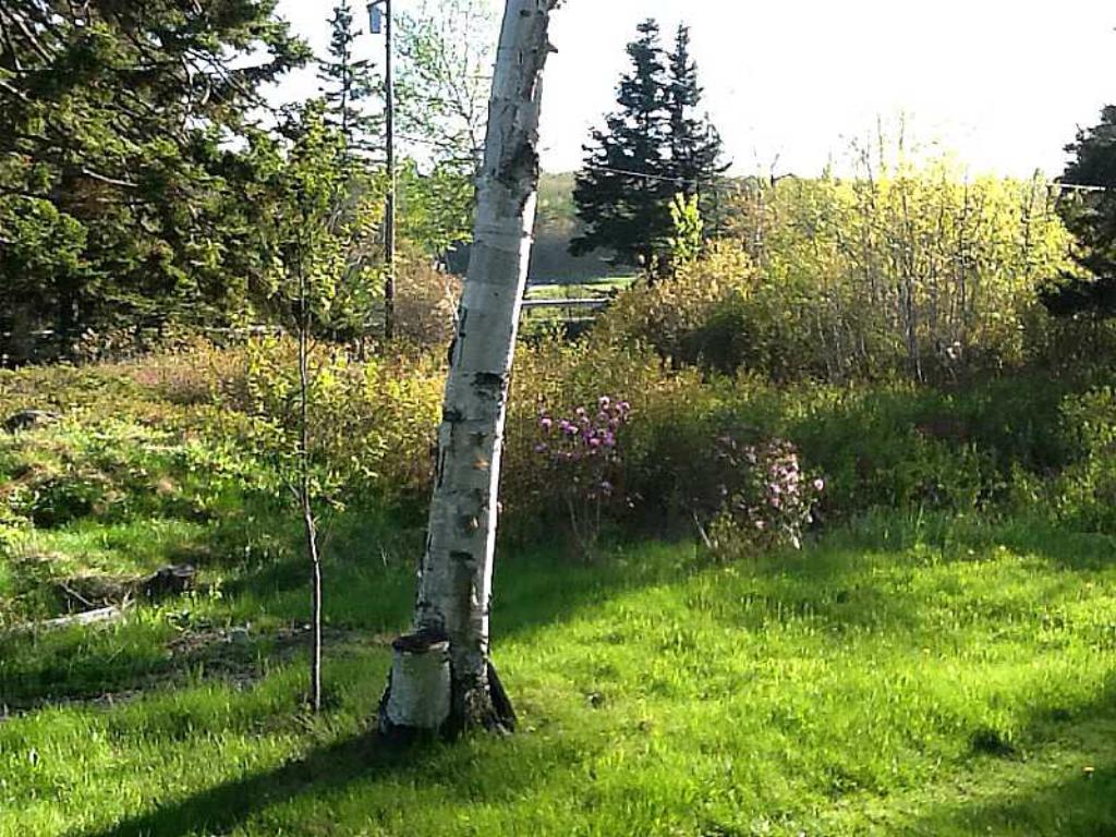 230 Corea Road Corea, ME 04624 - Photo 26 of 29 IMG_2450