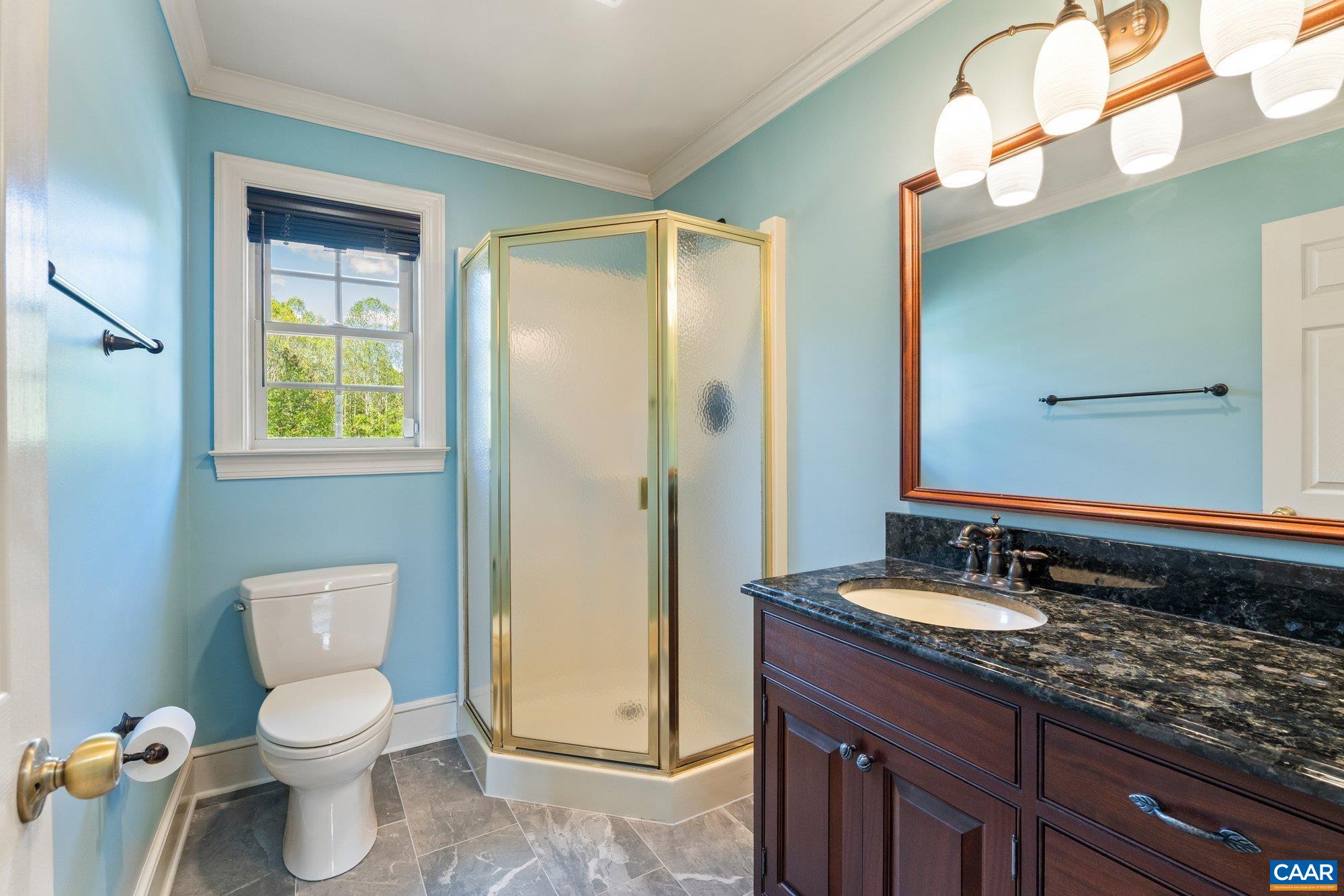 884 Pleasant Gap Drive Dry Fork, VA 24549 - Photo 33 of 72 a bathroom with a granite countertop sink toilet and shower
