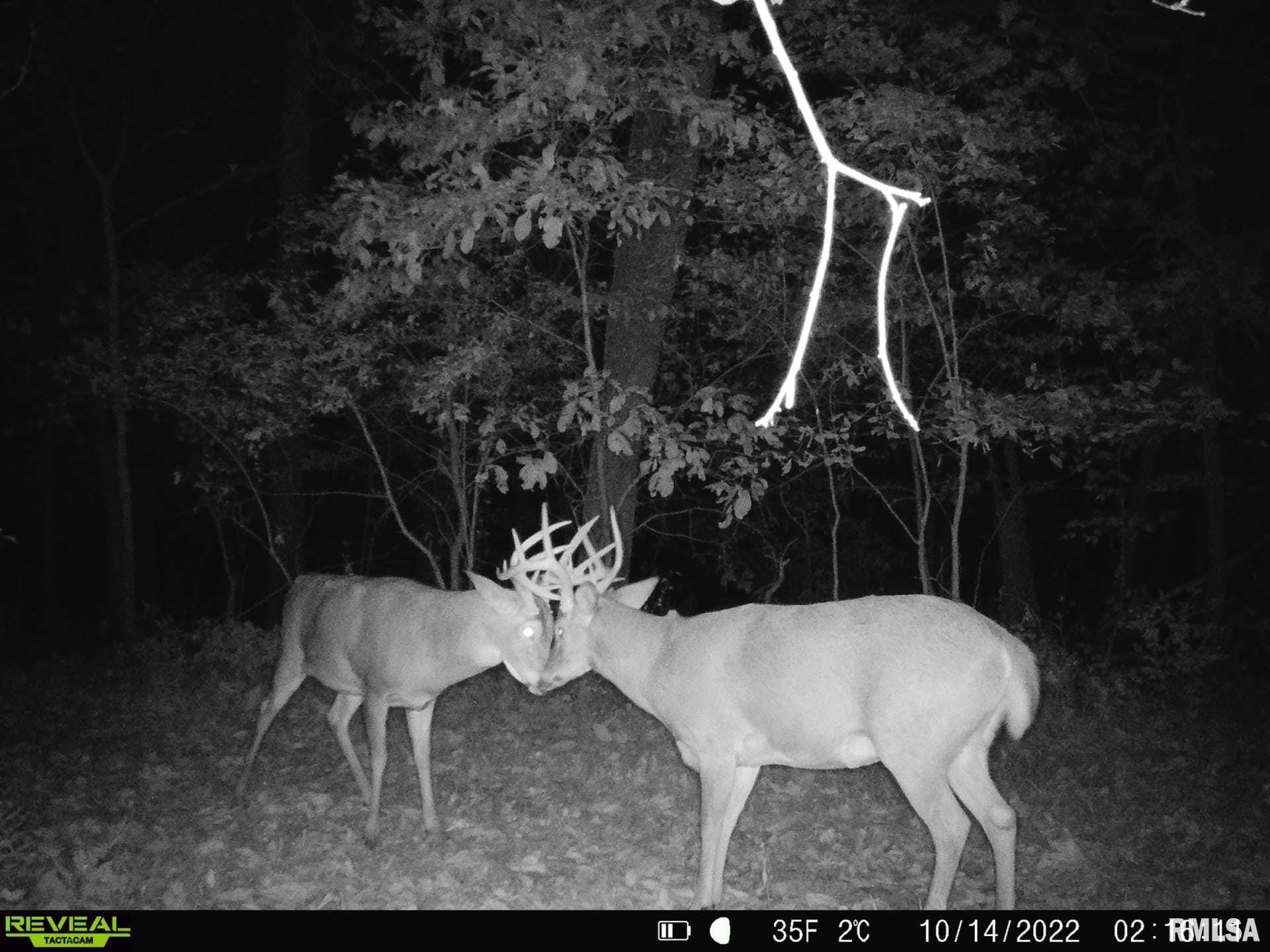 0 North Indian Trail Road Canton, IL 61520 - Photo 11 of 100