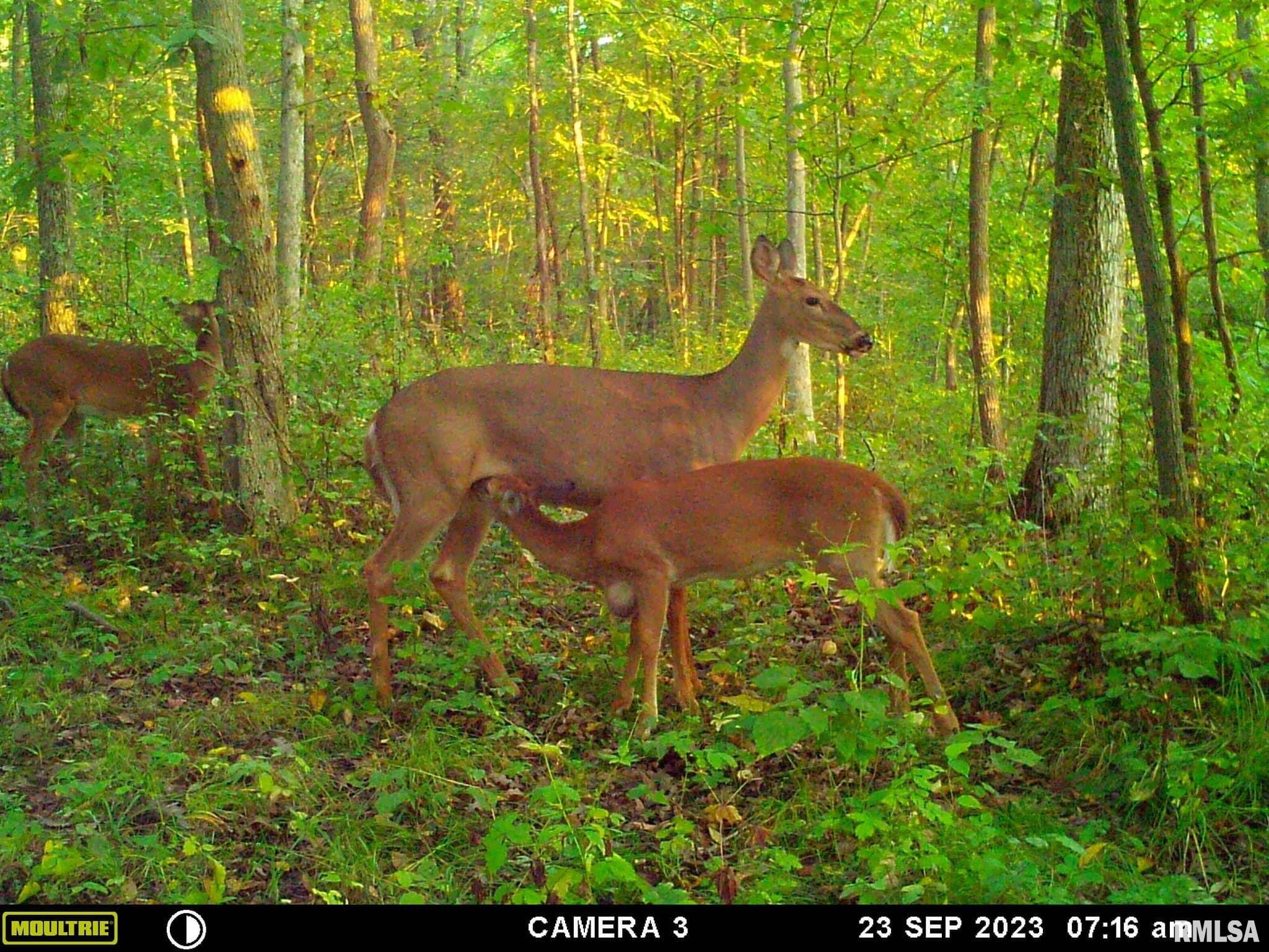 0 North Indian Trail Road Canton, IL 61520 - Photo 13 of 100